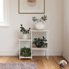 QE Dante Plant Stand Natural - Natural - N/A