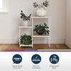 QE Dante Plant Stand Natural - Natural - N/A