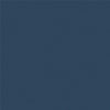 QE Bradford 2 Door Metal Accent Cabinet Navy  - Navy - N/A