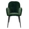 QUEER EYE FITZ ACCENT CHAIR VELVET GREEN - Green - N/A